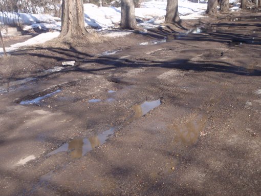 And the winner of the title for most pothole laden street is my street!