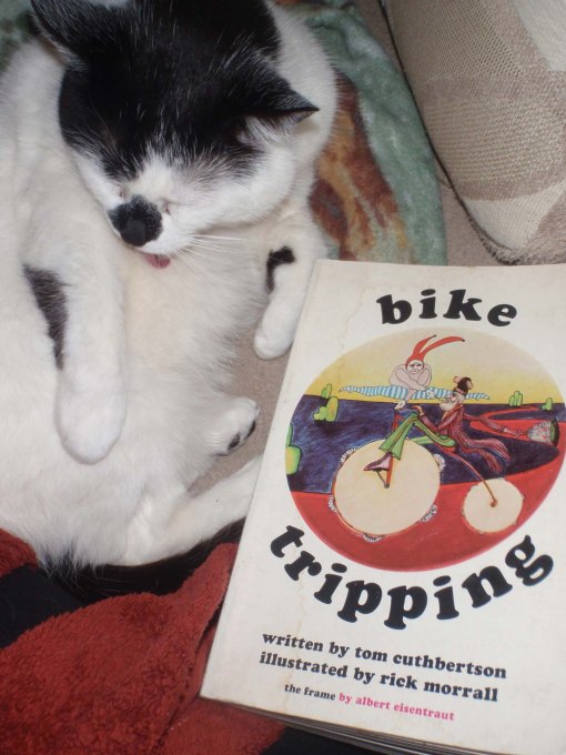 Bike Tripping, and a cat.